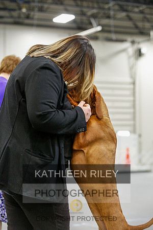 2022-KathleenRileyPhotography-9456