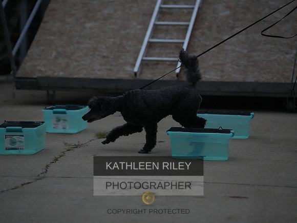 2022-KathleenRileyPhotography240