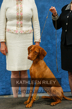 2022-KathleenRileyPhotography-6705