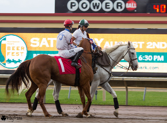 Jake Olesiak on First Down Marie AQHA at Canterbury Park