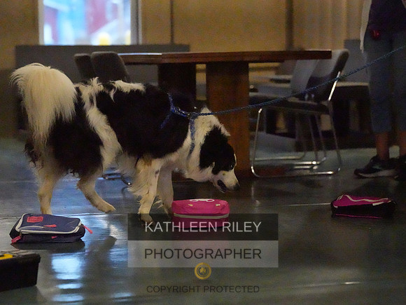 2022-KathleenRileyPhotography041