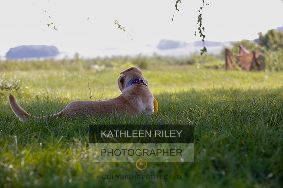 2022-KathleenRileyPhotography-7951