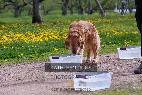 2022-KathleenRileyPhotography-8471
