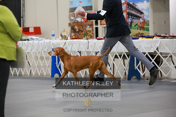 2022-KathleenRileyPhotography-7821