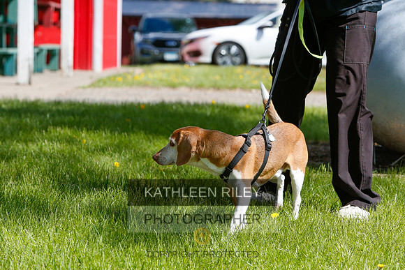 _S2_0991
