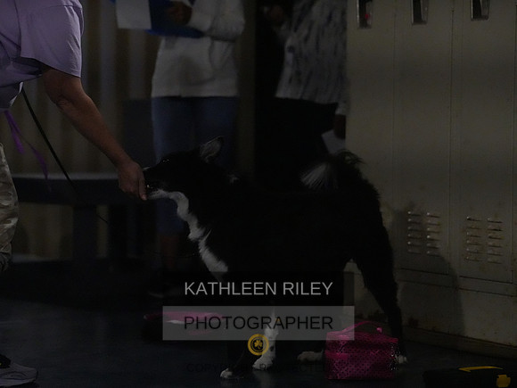 2022-KathleenRileyPhotography090