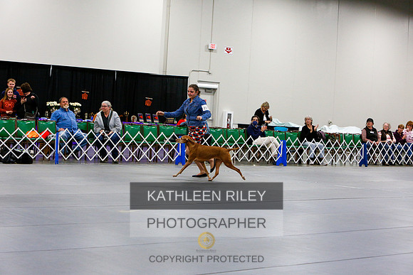 2022-KathleenRileyPhotography-1464