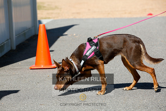 2022-KathleenRileyPhotography-4019