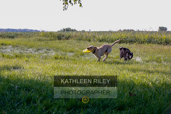 2022-KathleenRileyPhotography-7909