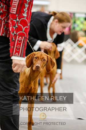 2022-KathleenRileyPhotography-1763