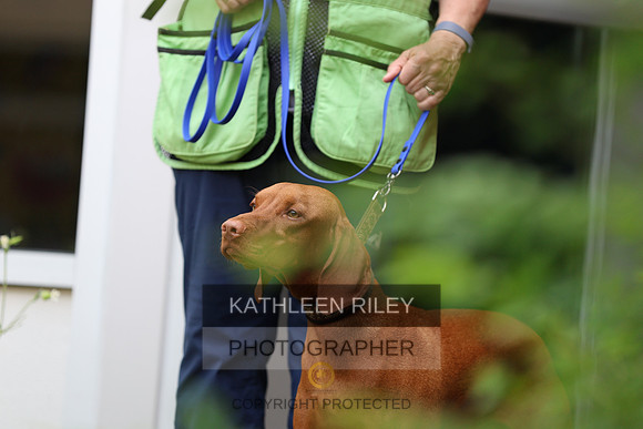 SJLT6509