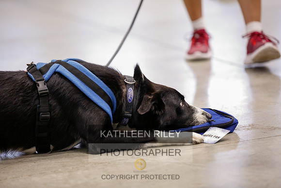 2022-KathleenRileyPhotography-7418
