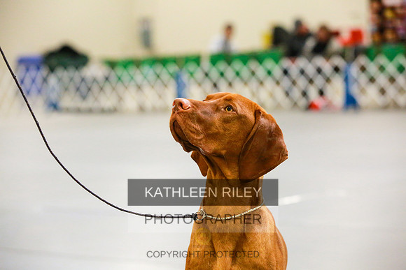 2022-KathleenRileyPhotography-8628