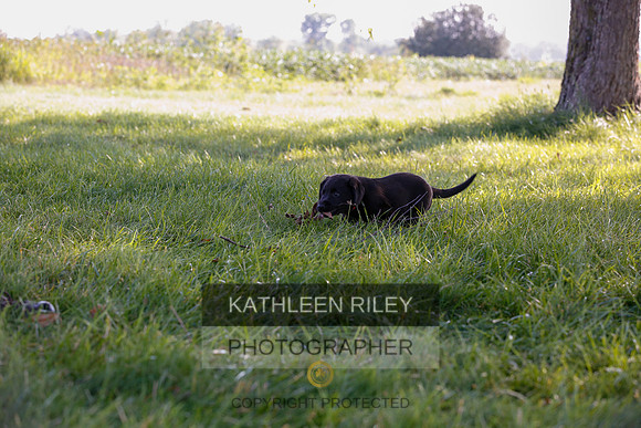 2022-KathleenRileyPhotography-7860