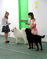 UKC Dog Show March 2012