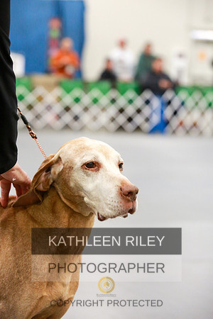 2022-KathleenRileyPhotography-8033