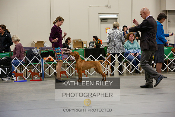 2022-KathleenRileyPhotography-3882