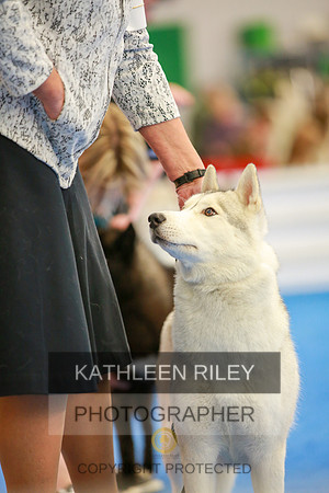 2022-KathleenRileyPhotography-5317