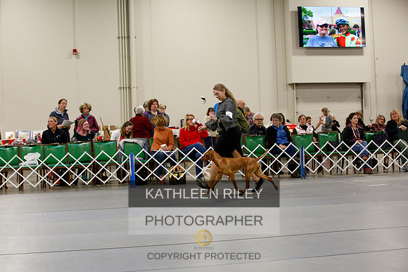 2022-KathleenRileyPhotography-9469