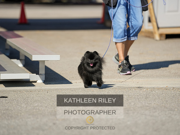 2022-KathleenRileyPhotography-03877