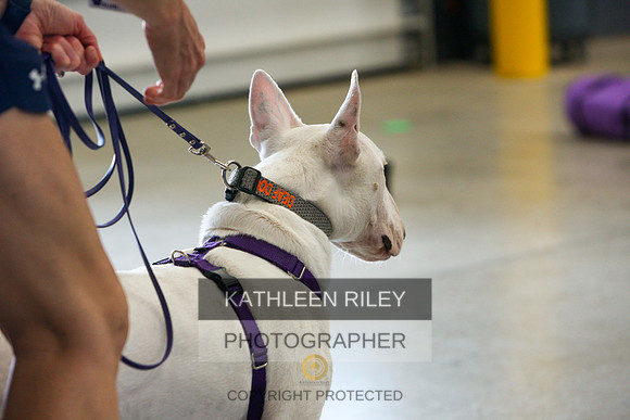 2022-KathleenRileyPhotography-4812