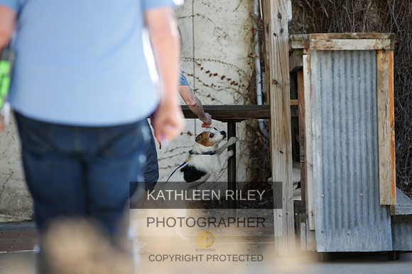2022-KathleenRileyPhotography-2689