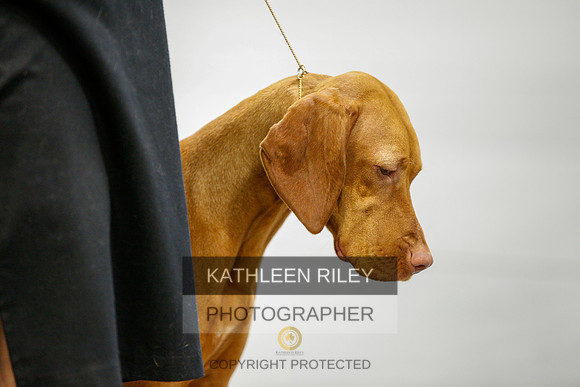 2022-KathleenRileyPhotography-9699
