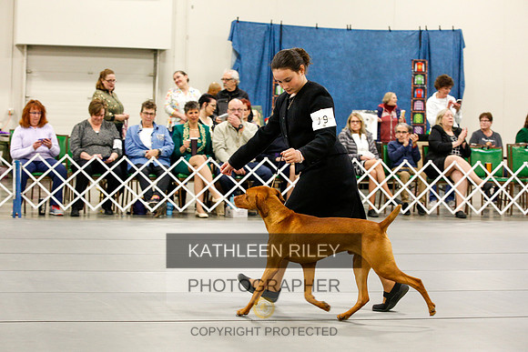2022-KathleenRileyPhotography-0443