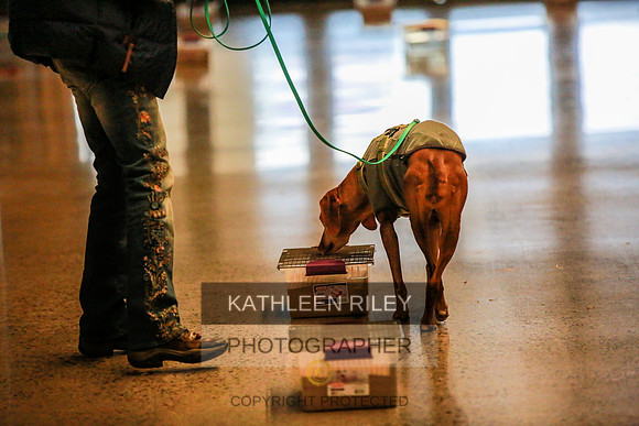 2022-KathleenRileyPhotography-7269 (1)