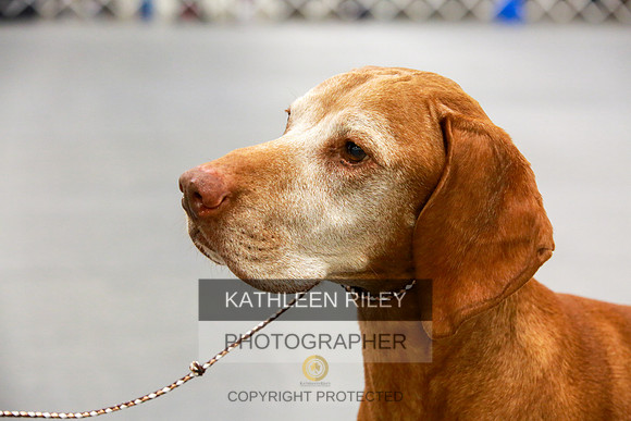 2022-KathleenRileyPhotography-8055