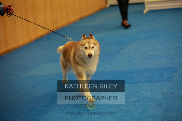 2022-KathleenRileyPhotography-6347
