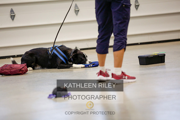 2022-KathleenRileyPhotography-7420