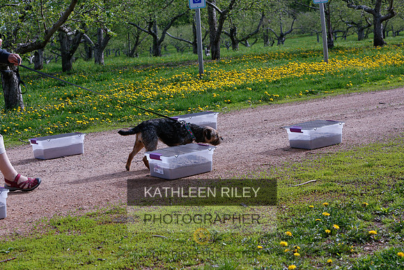 2022-KathleenRileyPhotography-8332