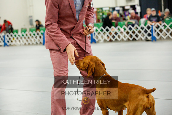 2022-KathleenRileyPhotography-0576
