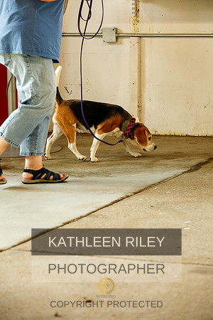 2022-KathleenRileyPhotography-9349