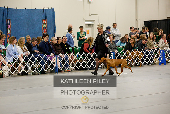 2022-KathleenRileyPhotography-1072