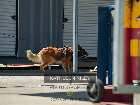2022-KathleenRileyPhotography-04174