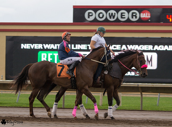 Doug Frink on Explosive Guns AQHA at Canterbury Park