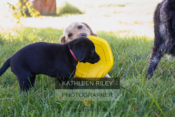 2022-KathleenRileyPhotography-7926