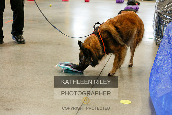 2022-KathleenRileyPhotography-5150