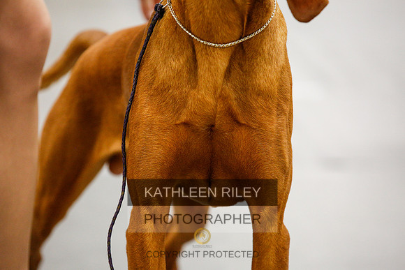 2022-KathleenRileyPhotography-1570