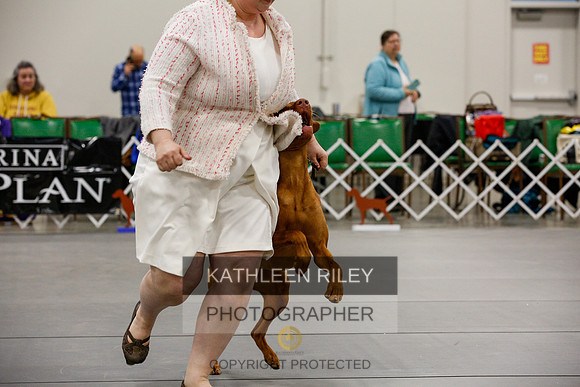 2022-KathleenRileyPhotography-1986