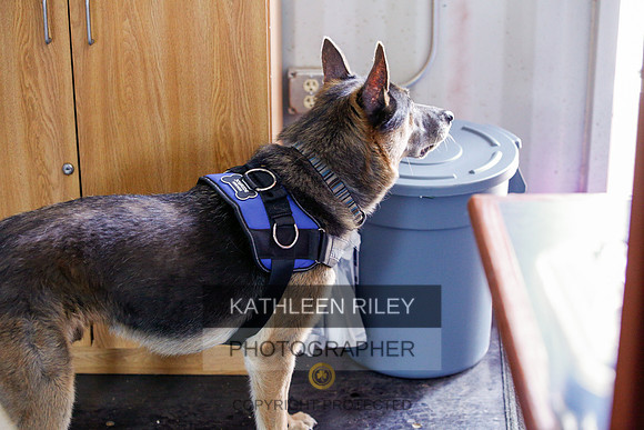 2022-KathleenRileyPhotography-6818