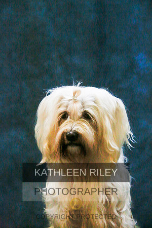 2022-KathleenRileyPhotography-9417