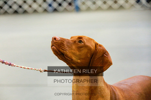 2022-KathleenRileyPhotography-8868