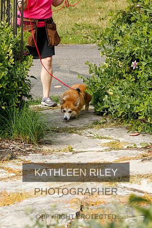 2022-KathleenRileyPhotography-9353