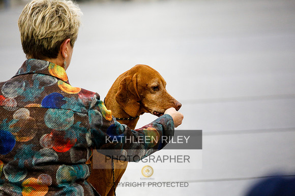2022-KathleenRileyPhotography-2448