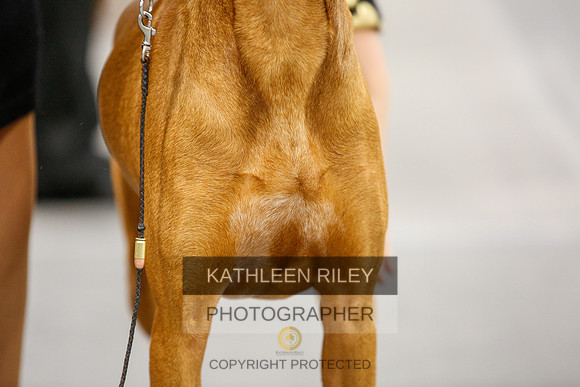 2022-KathleenRileyPhotography-1571