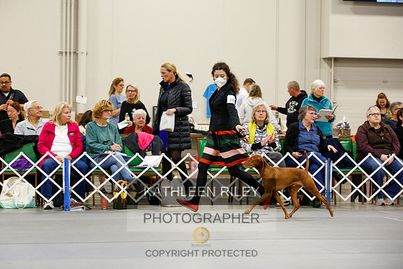 2022-KathleenRileyPhotography-0759