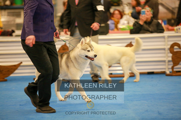 2022-KathleenRileyPhotography-6103
